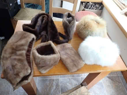 Photo of free Old fur hats (Fairfield LA1) #1