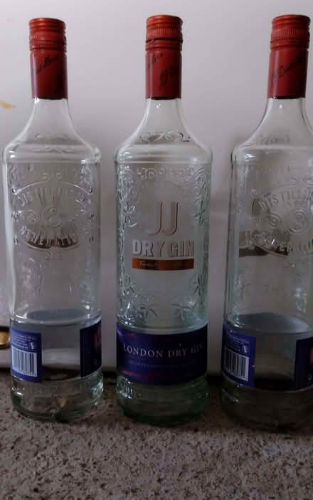 Photo of free Empty Gin bottles various styles. (Bwlchtocyn LL53) #1