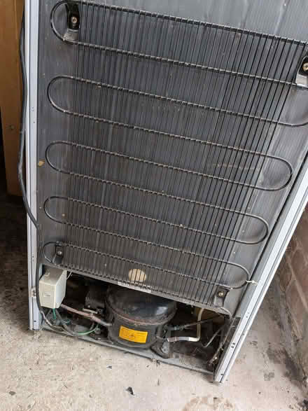 Photo of free freezer (Chichester PO19) #1