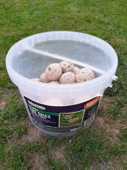Photo of free Fat balls bird food (Chineham RG24) #1