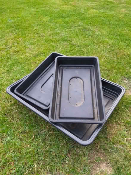 Photo of free Seed trays (Chineham RG24) #1
