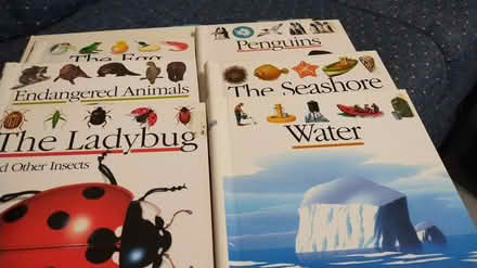 Photo of free Scholastic books (Allen) #1