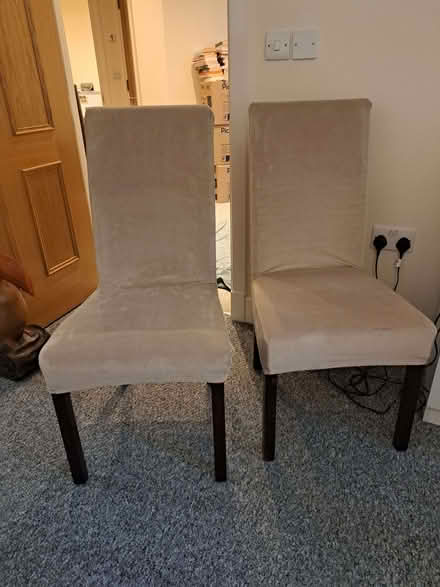 Photo of free Two dining chairs (Eastbourne BN21) #2