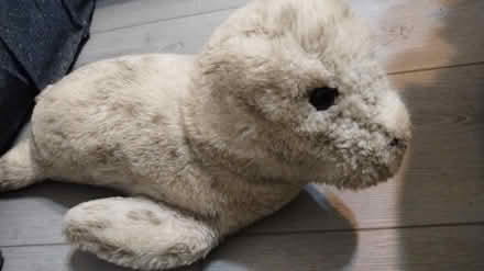 Photo of free Stuffed seal (Allen) #1