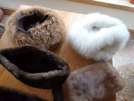 Photo of free Old fur hats (Fairfield LA1) #2