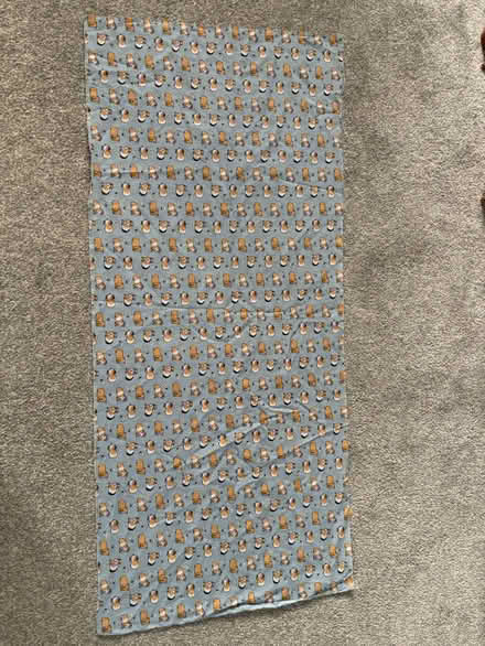 Photo of free Guinea pig fabric approx 140x50cms (Westhouses, Alfreton, DE55) #2