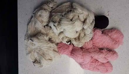 Photo of free Woollen yarn (Kingston KT2) #1
