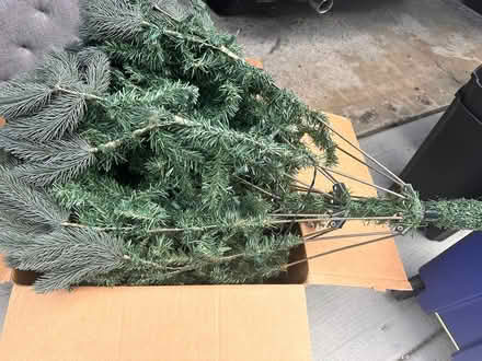 Photo of free Christmas tree with lights (Woodridge) #2