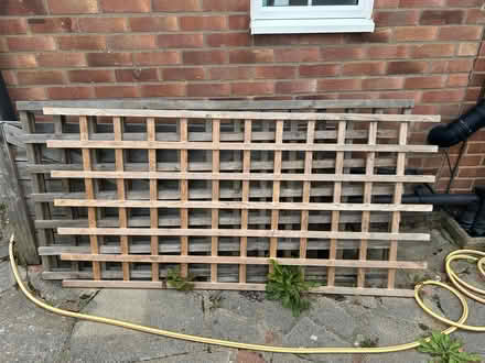 Photo of free Trellis panels x 3 (Petts Wood BR5) #1