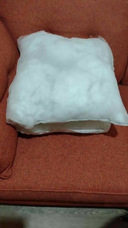 Photo of free Two Cushion Pads (Moreton CH46) #1