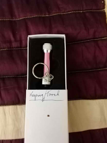 Photo of free Keyring torch in pink (Tonbridge) #1