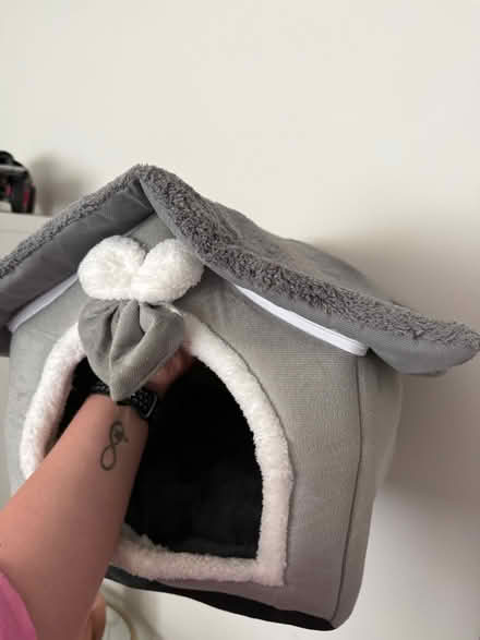 Photo of free Cat house (Mansfield NG19 6LJ) #1