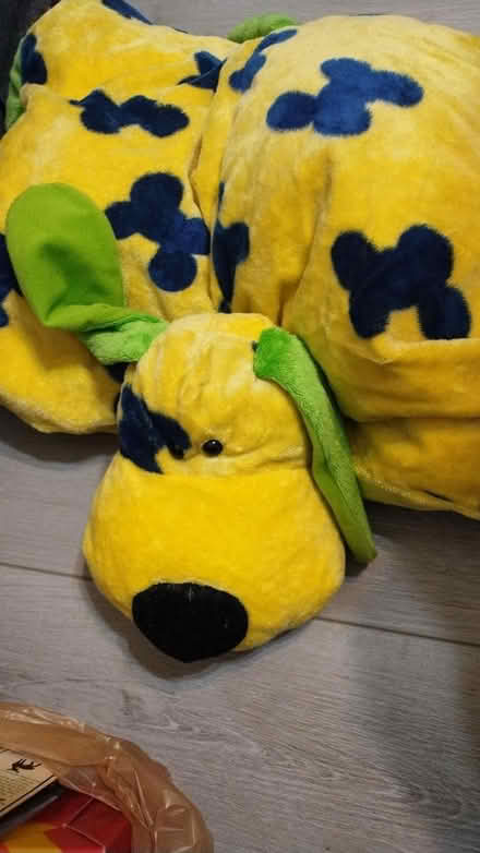Photo of free colorful puppy pillow (Allen) #2