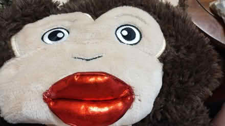Photo of free Monkey costume (Allen) #1