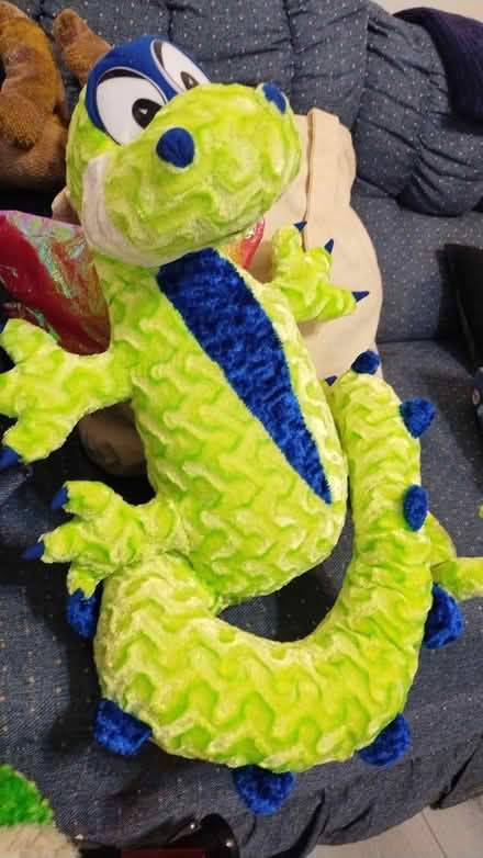Photo of free Dragon (Allen) #1