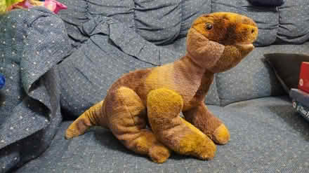 Photo of free Stuffed dino (Allen) #1