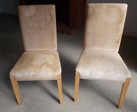 Photo of free Ikea Henriksdal Dining Chairs x 2 (Stoneygate LE2) #1