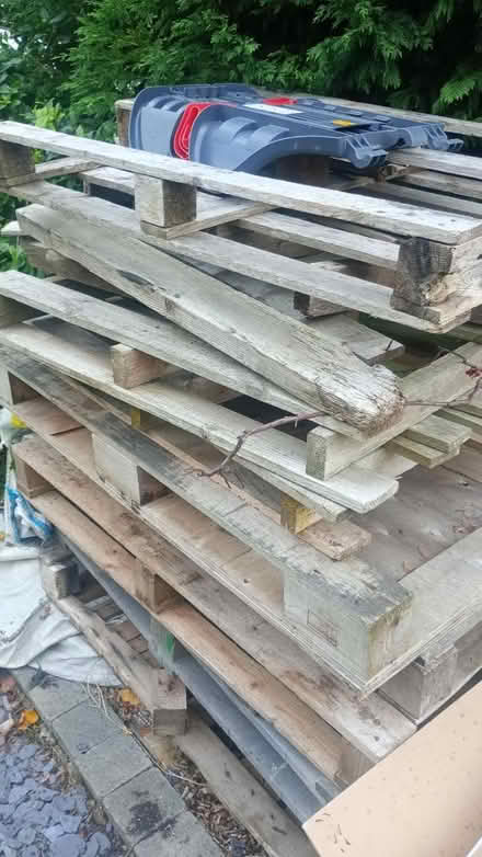 Photo of free Wood for log burner pallets etc (Mapperley, NG3) #1
