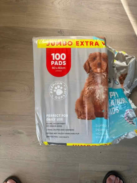 Photo of free Puppy Pads (Southend SS1) #1