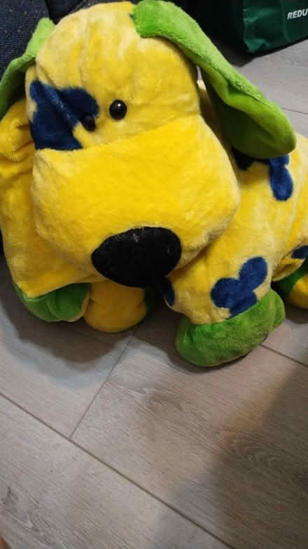 Photo of free colorful puppy pillow (Allen) #1