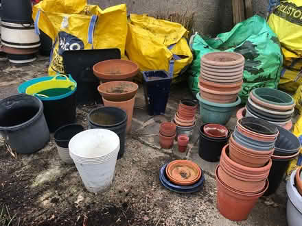 Photo of free Plant pots (Northolt) #3