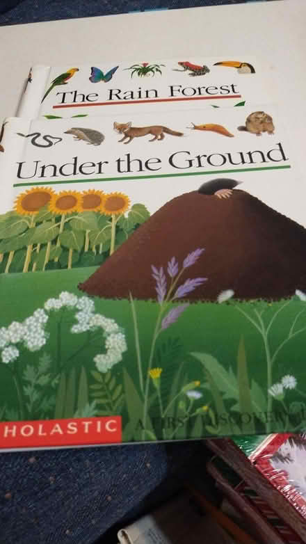 Photo of free Scholastic Books 2 (Allen) #1