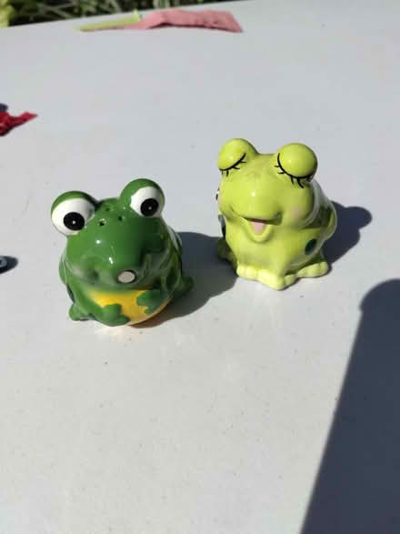 Photo of free salt and pepper shakers (Old Ottawa south) #2