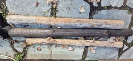 Photo of free 20x pine posts (Abbotsford) #2