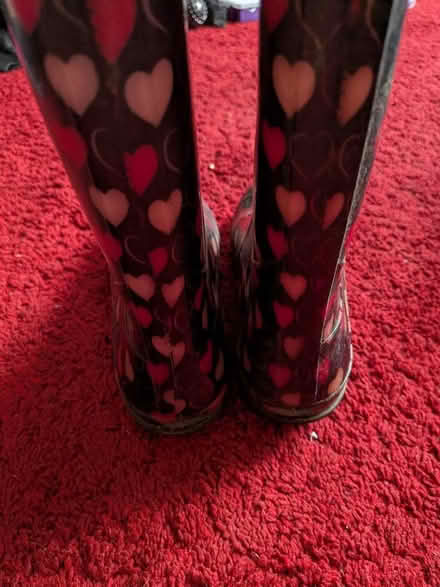 Photo of free Wellies (Bracknell Forest RG12) #2
