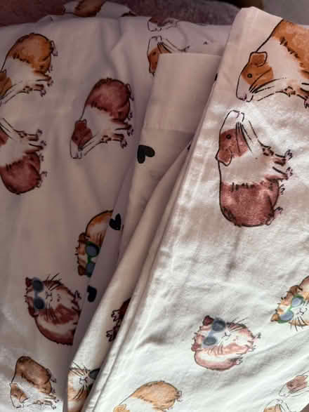 Photo of free Double Duvet (South Harting GU31) #1
