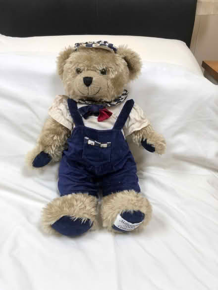 Photo of free Gorgeous Millennium 2000 Collection teddy bear (Whitchurch CF14) #1