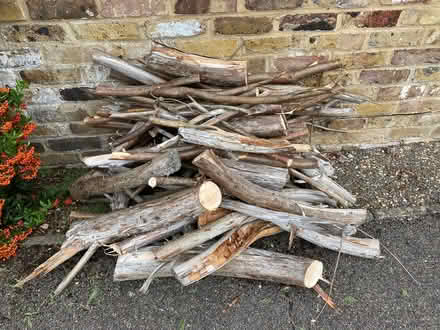 Photo of free Logs/kindling (Cox Green SL6) #1