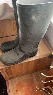 Photo of free Wellies sz.9 (Westerhope) #1