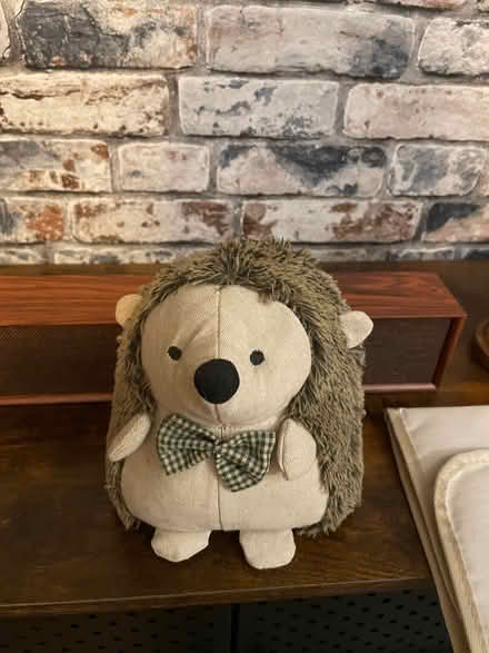 Photo of free Hedgehog door stop (Thringstone LE67) #1