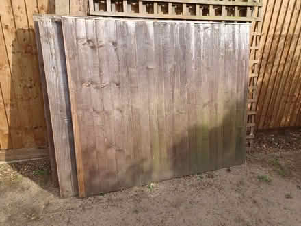 Photo of free Six 5ft High Closeboard Fence Panels (Woodley RG5) #1