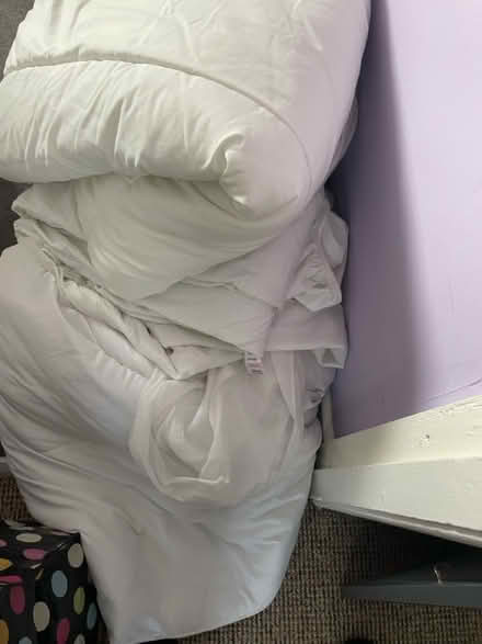 Photo of free Single quilts & mattress covers (Denton) #1