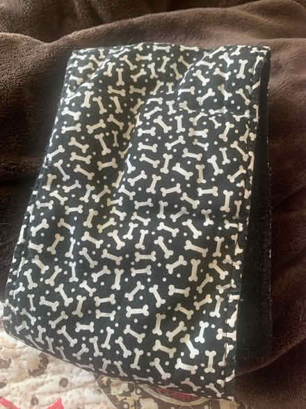 Photo of Small dog belly bands (Laurel Maryland 20708) #2