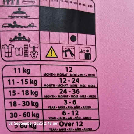 Photo of free Life vest (Chester CH2) #2