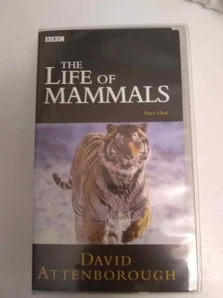 Photo of free Life of Mammals David Attenborough Videos (Sonning Common RG4) #1