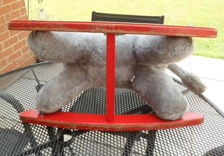 Photo of free GyGy Rocking Donkey (Northallerton) #4