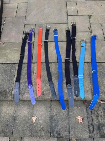 Photo of free Kid baseball pant belts (Leonardo) #1