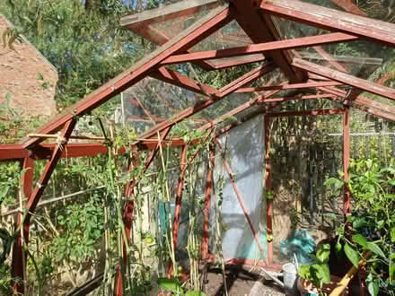 Photo of free Alton cedar framed greenhouse. (Neville's Cross DH1) #2