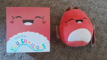 Photo of free McDonalds Squishmallow Toy Mirren (Burgess hill) #1