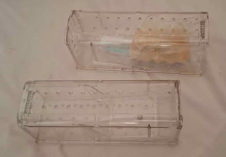 Photo of free Pair of Humane mouse traps (Liss GU33) #1
