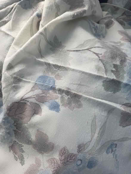 Photo of free Thermal pair of curtains (Worksop S81) #1