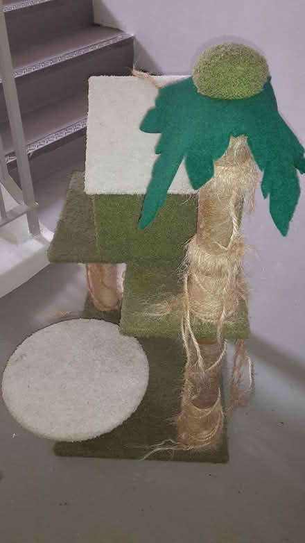 Photo of free cat gym (Queenstown, near MRT) #2