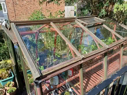 Photo of free Alton cedar framed greenhouse. (Neville's Cross DH1) #3