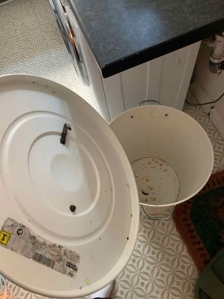 Photo of free IKEA metal bin (Nottingham, NG7) #2