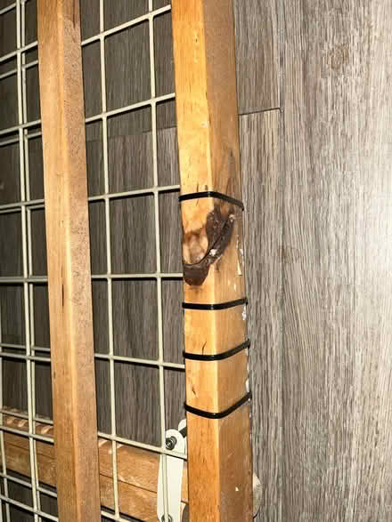 Photo of free Doggy Gate (East Sunrise) #3