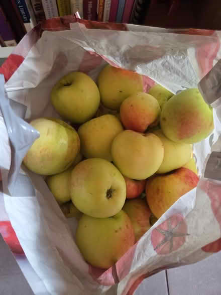 Photo of free Cooking Apples (Lightwood ST3) #1